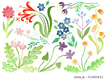 最も人気のある ゆり の 花 イラスト かわいい 最高の画像壁紙日本aad