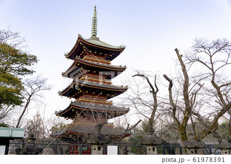 旧 寛永寺五重塔の写真素材