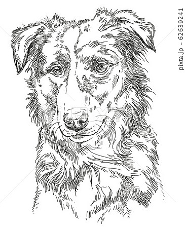 鉛筆 犬 動物 絵のイラスト素材