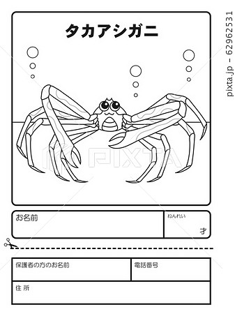 タカアシガニのイラスト素材