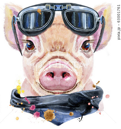 シェトランド諸島 美容師 スリンク 豚 サングラス イラスト プロペラ 基本的な フルーツ