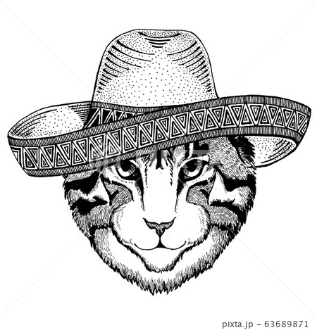 ねこ メキシカン メキシコ人 帽子のイラスト素材