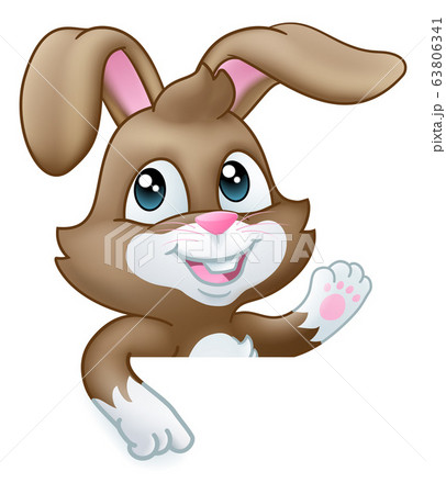 動物 うさぎ 指差し ウサギの写真素材