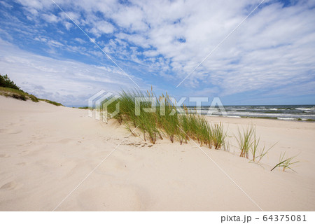 夏 きれい 美しい 景色の写真素材