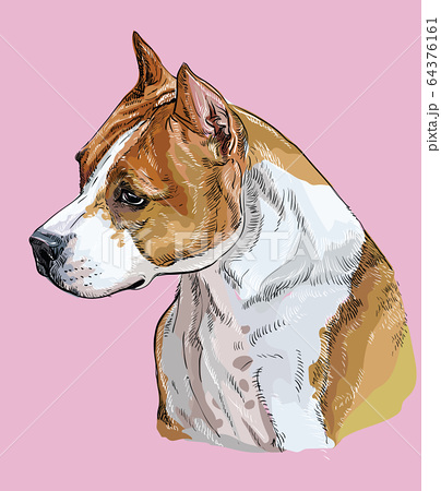 鉛筆 犬 動物 絵のイラスト素材