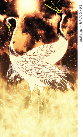 国鳥のイラスト素材