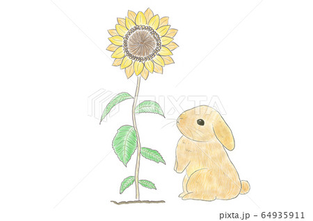 ♥A*B♡ひまわり飾り。ひまわりうさぎちゃん*♡可愛い七夕飾り*♡♥ Amazon.co.jp: 壁面飾り 夏 ② ひまわり せみ うさぎ 木 花 風船