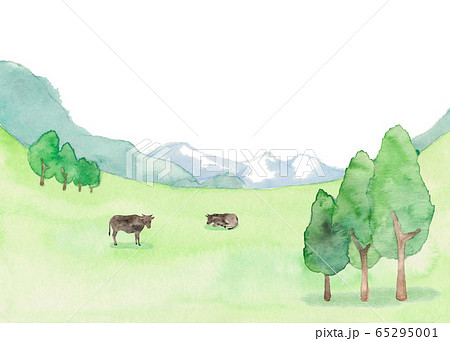 魚眼のイラスト素材