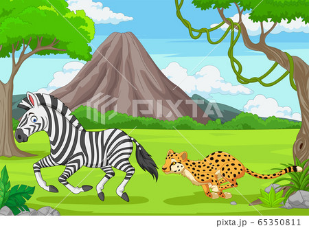 チーター 動物 狩り 狩るのイラスト素材