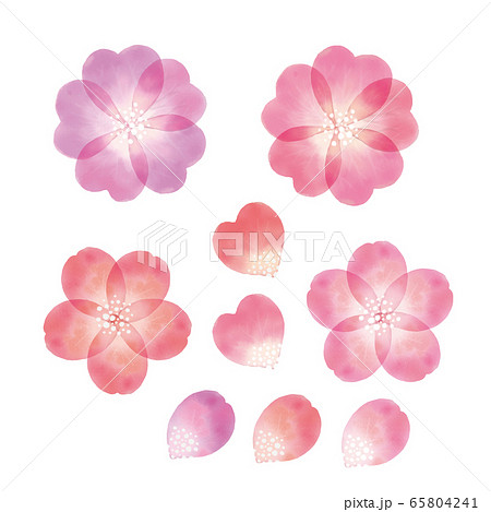 花 美しい イラスト 透明感のイラスト素材