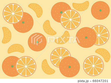 カット 柑橘類 断面 みかんのイラスト素材