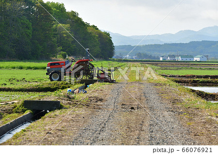 水路 畦道 道 水田 用水路 田んぼの写真素材