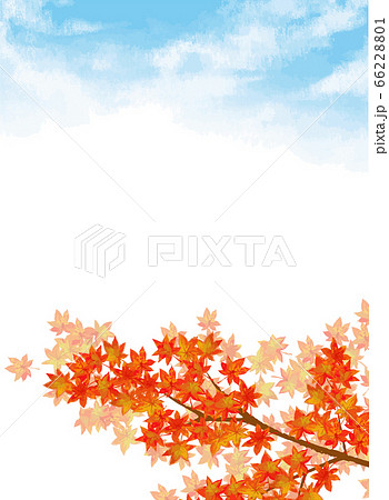 紅葉 青空 快晴 赤色のイラスト素材 - PIXTA