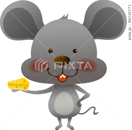 ネズミ 鼠 正面 干支のイラスト素材