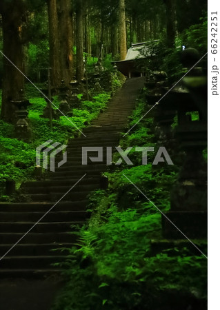 阿蘇ファンタジーの森の写真素材 Pixta