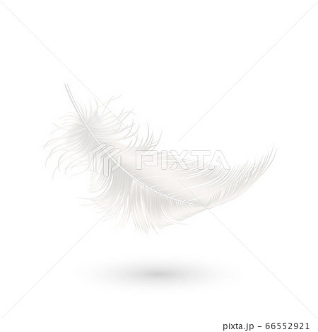 天使 イラスト 影 羽根 シルエットのイラスト素材