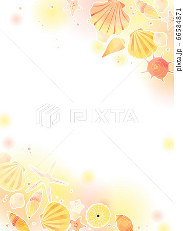 巻貝 貝殻 かわいいのイラスト素材