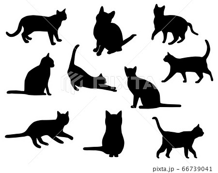 シルエット 猫 透過背景 シンプルのイラスト素材