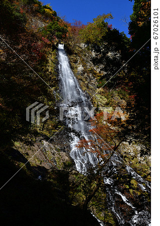 但馬 氷ノ山後山那岐山国定公園 森林浴の森100選 紅葉の写真素材