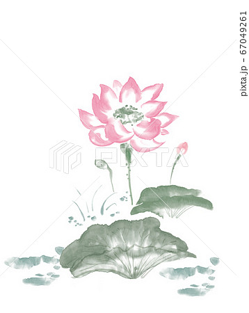 喪中はがき 蓮 イラスト 白黒の写真素材