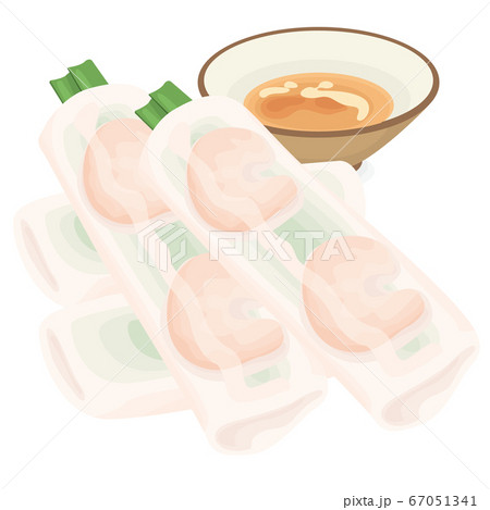 春巻きのイラスト素材