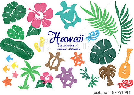 ハワイ 背景のイラスト素材