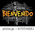 Bienvenido (Welcome in Spanish) word cloud - Stock Illustration  [72231059] - PIXTA