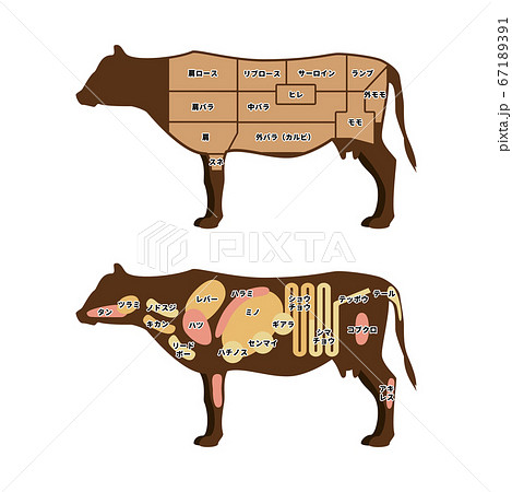 牛肉のイラスト素材集 ピクスタ