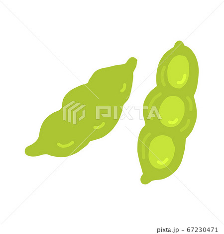 枝豆 かわいい ベクター えだまめのイラスト素材