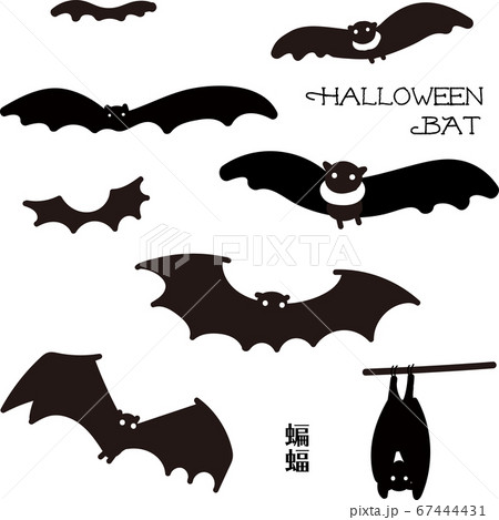 Halloweenの写真素材