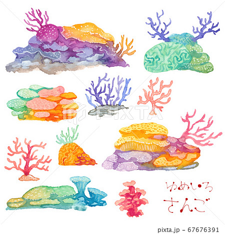 珊瑚礁のpng素材集 ピクスタ