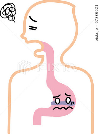 酵素のイラスト素材