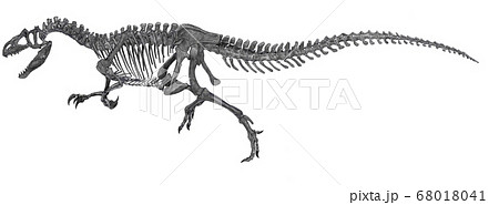 アロサウルスのイラスト素材