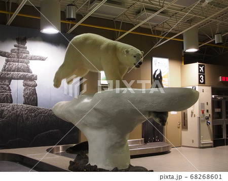 シロクマ剥製 標本博物館】 巨大 シロクマ剥製 - 虫研 ブログ