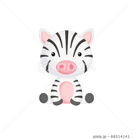 しまうま シマウマ ゼブラ 座っているの写真素材