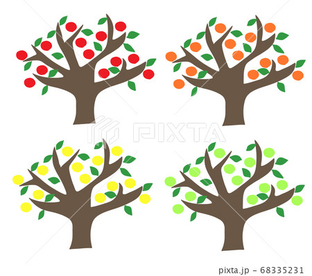 柚子の木のイラスト素材