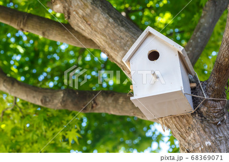 野鳥の巣箱の写真素材 - PIXTA