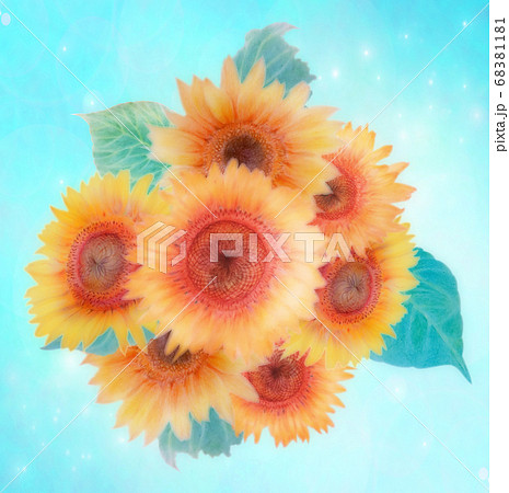 ひまわり 花 リアルイラスト 向日葵のイラスト素材