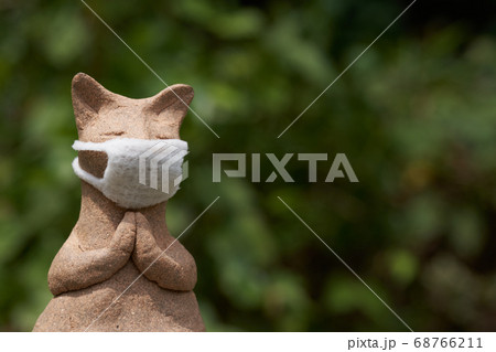 拝み猫の写真素材