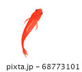 上から見た金魚のイラストのイラスト素材