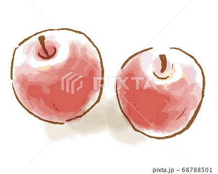りんご リンゴ 林檎 絵手紙のイラスト素材