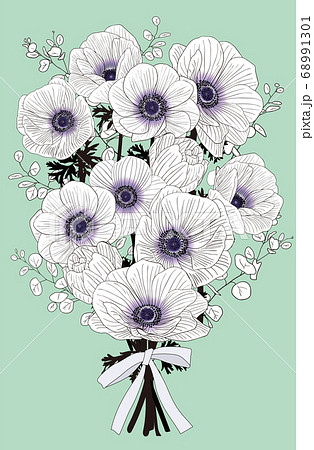 アネモネ 花 花弁 紫のイラスト素材