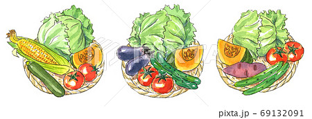 夏野菜 水彩 とうもろこしのイラスト素材 夏野菜 水彩 とうもろこしのイラスト素材