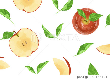 りんご かわいい 白バック イラストの写真素材
