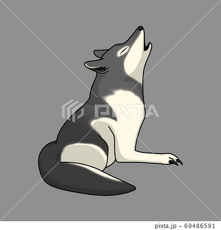 動物 陸上動物 オオカミ 狼のイラスト素材