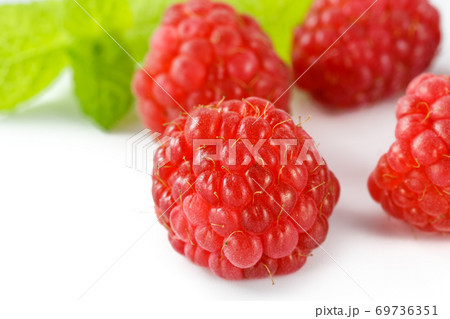 ヨーロッパキイチゴの写真素材