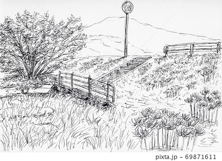 彼岸花 花 モノクロ 白黒のイラスト素材