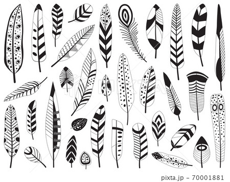 鳥 孔雀 イラスト 白黒のイラスト素材