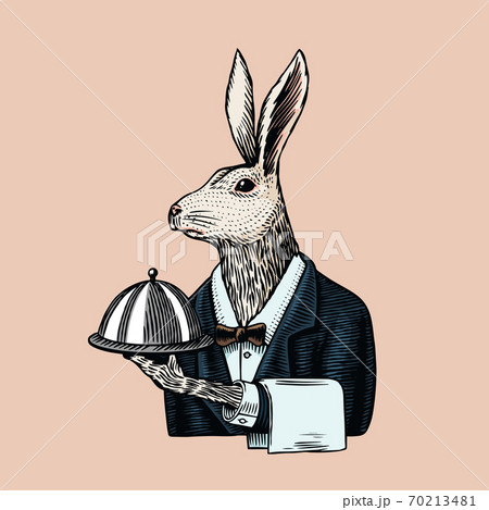 うさぎの擬人化のイラスト素材