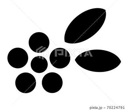 花 白黒 一輪のイラスト素材